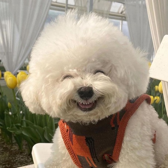 Meet your Posher, Luv - Picture 1 of 1